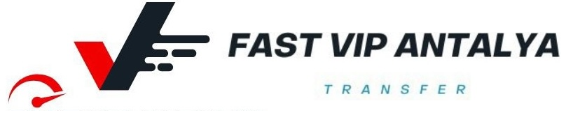 Fast Vip logo